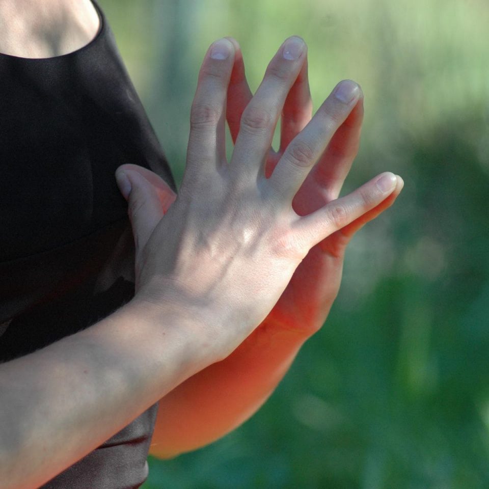 Hakini Mudra
