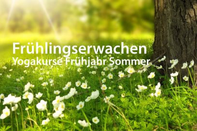Kurse Frühjahr Sommer