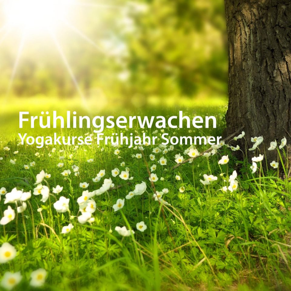 Kurse Frühjahr Sommer